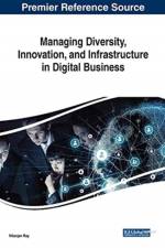 Managing Diversity, Innovation, and Infrastructure in Digital Business