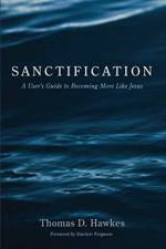 Sanctification af Thomas D Hawkes