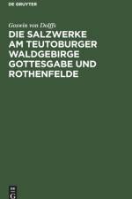 Die Salzwerke Am Teutoburger Waldgebirge Gottesgabe Und Rothenfelde af Goswin Von Dolffs