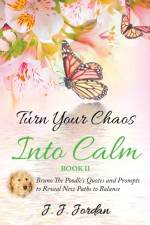 Turn Your Chaos Into Calm af J J Jordan