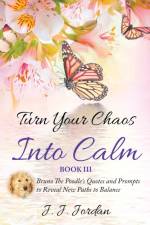 Turn Your Chaos Into Calm