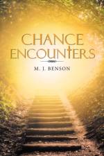 Chance Encounters af M J Benson