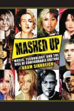 Mashed Up af Aram Sinnreich