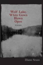 Wolf Lake, White Gown Blown Open af Diane Seuss