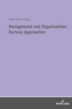 Management and Organization: Various Approaches