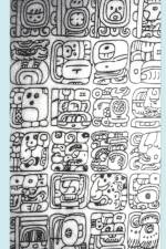 A Comparison of Four Mayan Languages af Sandra Chigüela