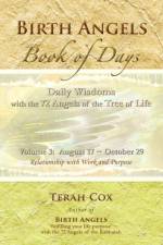 BIRTH ANGELS BOOK OF DAYS - Volume 3 af Terah Cox