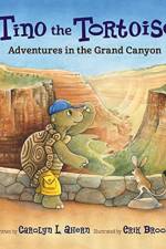 Tino the Tortoise af Carolyn L. Ahern