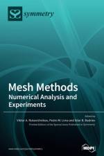 Mesh Methods af VIKTO RUKAVISHNIKOV