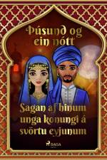 Sagan af hinum unga konungi á svörtu eyjunum (Þúsund og ein nótt 28)