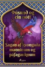 Sagan af kvongaða manninum og páfagauknum (Þúsund og ein nótt 14) af – Ýmsir