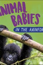 Animal Babies: In the Rainforest af Sarah Ridley