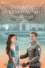 Dworek pod Malwami 46 - Poraniony anioł af Marian Piotr Rawinis