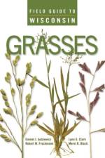 Field Guide to Wisconsin Grasses af Emmet J. Judziewicz
