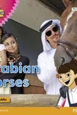My Gulf World and Me Level 3 non-fiction reader: Arabian horses af Kate Riddle