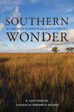 Southern Wonder af R. Scot Duncan