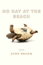 No Day at the Beach af John Brehm