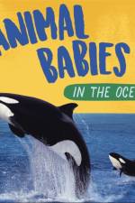 Animal Babies: In the Ocean af Sarah Ridley