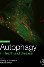 Autophagy in Health and Disease