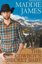 Cowboy's Secret Baby af Maddie James