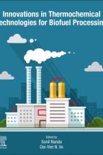 Innovations in Thermochemical Technologies for Biofuel Processing