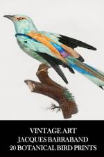 Vintage Art