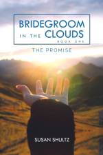 Bridegroom in the Clouds af Susan Shultz