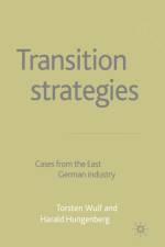 Transition Strategies af H. Hungenberg