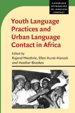 Youth Language Practices and Urban Language Contact in Africa
