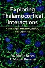 Exploring Thalamocortical Interactions af W. Martin (Professor and Chair Usrey