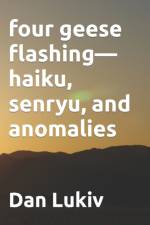 four geese flashing-haiku, senryu, and anomalies af Dan Lukiv
