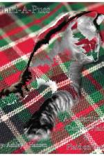 Plaid-A-Puss af Ashley J Hansen