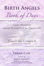 BIRTH ANGELS BOOK OF DAYS - Volume 2 af Terah Cox
