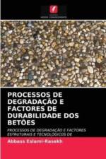 Processos de Degradacao E Factores de Durabilidade DOS Betoes af Abbass Eslami-Rasekh