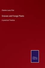 Grasses and Forage Plants af Charles Louis Flint
