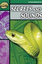 Rapid Reading: Secrets & Sounds (Stage 5, Level 5B) af Haydn Middleton