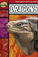 Rapid Reading: Dragons (Stage 2, Level 2B) af Diana Bentley