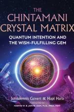 The Chintamani Crystal Matrix af Johndennis Govert