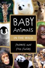 Baby Animals in the Wild af Tuxedo Graphics