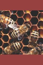 Beekeeper Lady af Martha Pemberton+