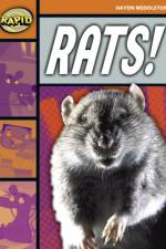 Rapid Reading: Rats! (Stage 4, Level 4B) af Haydn Middleton