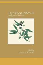 Tijeras Canyon af Linda Cordell