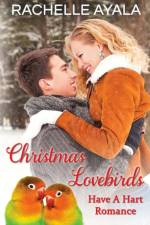 Christmas Lovebirds af Rachelle Ayala