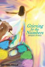 Grieving by the Numbers af Jan Teel-Nealis