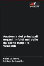 Anatomia dei principali organi linfoidi nel pollo da carne Hansli e Vencobb af Srinivas Sathapathy