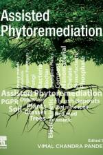 Assisted Phytoremediation