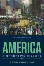 America af David E. (Furman University) Shi