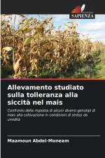 Allevamento studiato sulla tolleranza alla siccita nel mais af Maamoun Abdel-Moneam