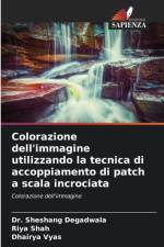 Colorazione dell'immagine utilizzando la tecnica di accoppiamento di patch a scala incrociata af Riya Shah