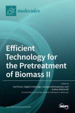 Efficient Technology for the Pretreatment of Biomass II af IVET FERRER